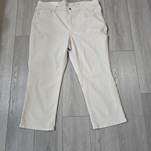 J. Jill Denim Demi Boot Cut Ankle Size 20